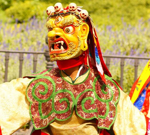 Cultural Experiences